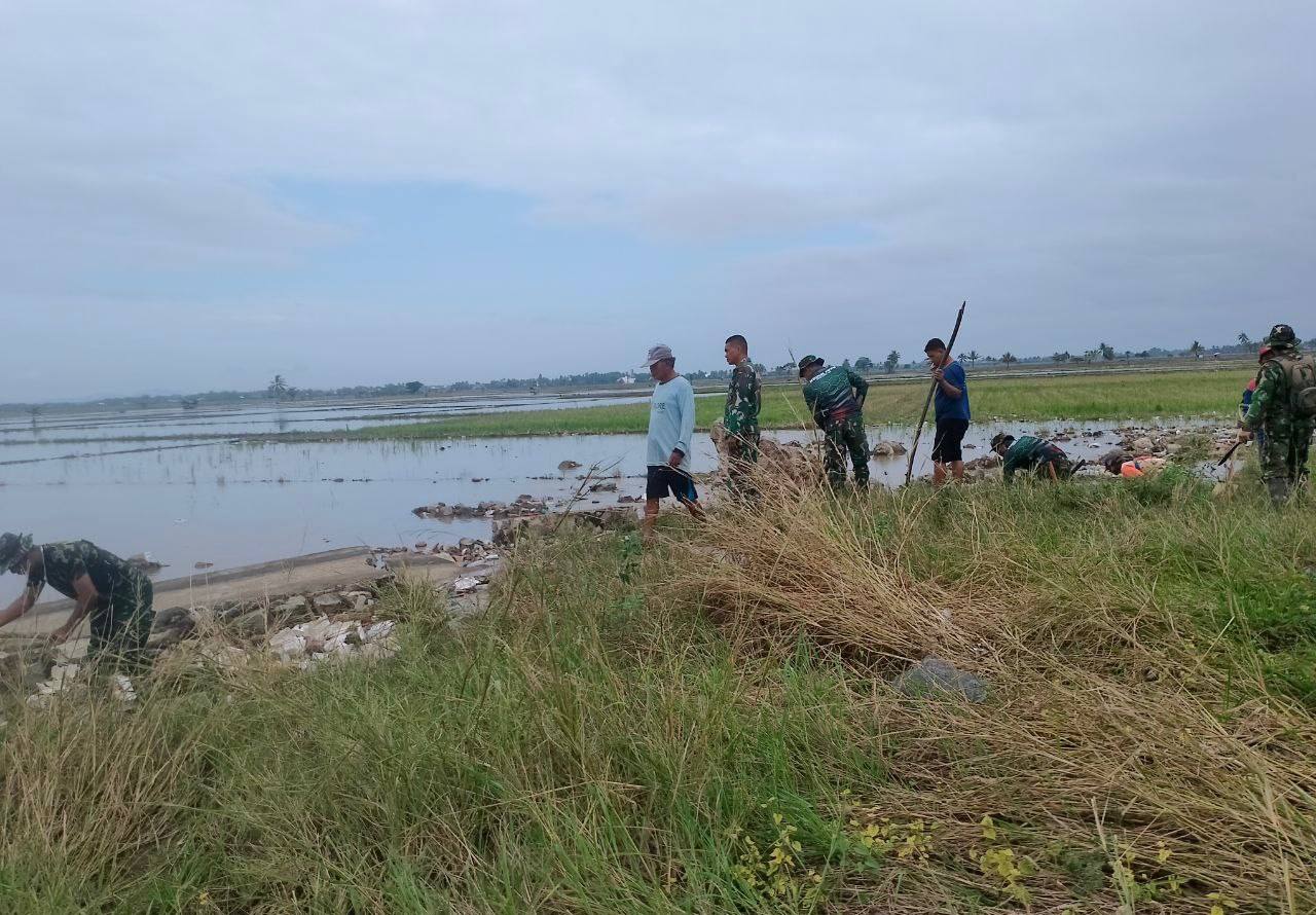 Langkah Positif Danramil 05/Dua Pitue dalam menangani Area Persawahan Pasca Banjir