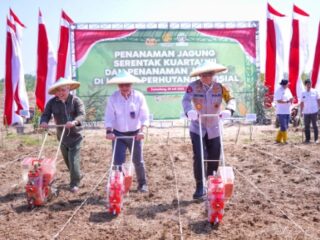 Kapolri: Pembiayaan Hingga Distribusi Jagung Akan Libatkan Koperasi Merah Putih